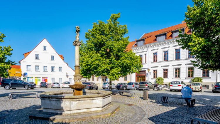 ein Brunnen in der Altstadt von Bad Düben